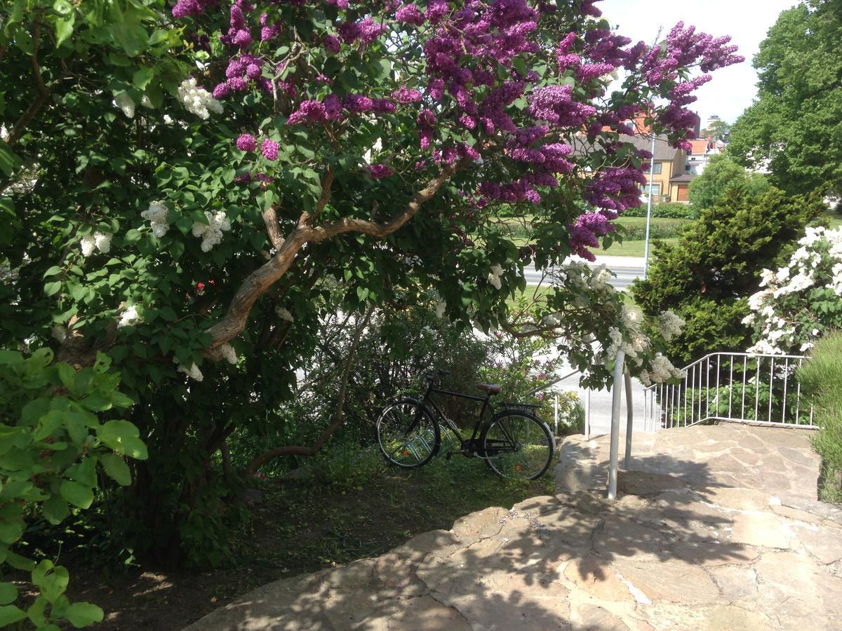 Vaegga Bed & Breakfast 卡尔斯港 外观 照片